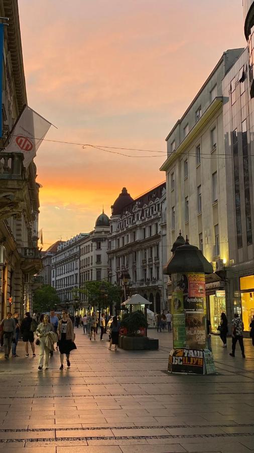 Dom Boutique Apartments - Old Town Belgrád Kültér fotó