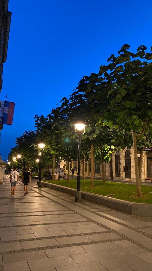 Dom Boutique Apartments - Old Town Belgrád Kültér fotó
