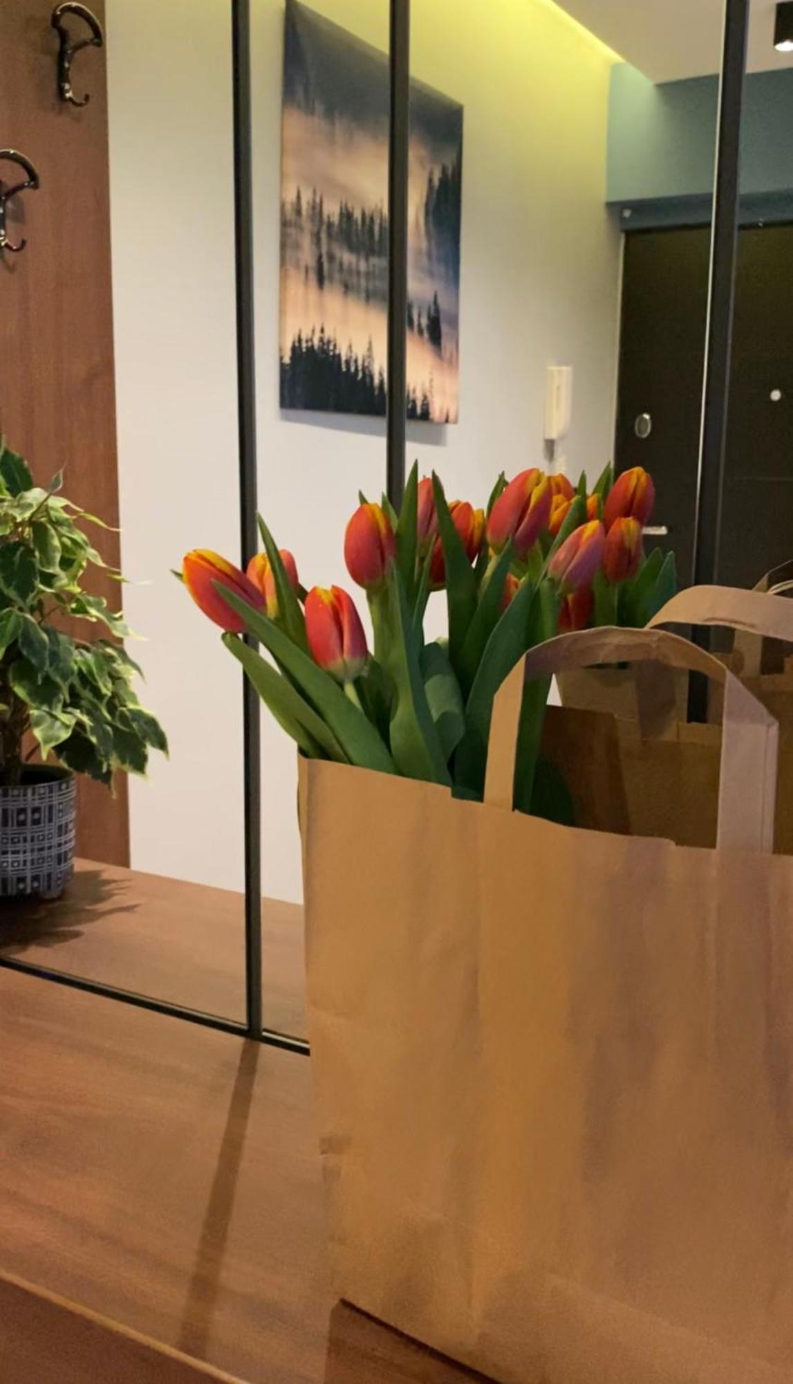 Dom Boutique Apartments - Old Town Belgrád Kültér fotó